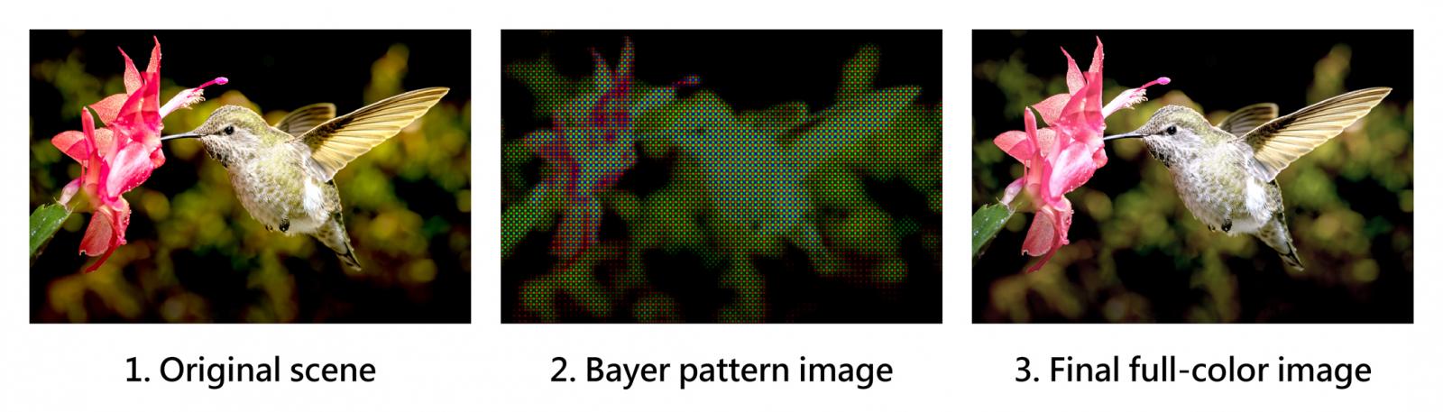 The demonstration of a digital camera forming image